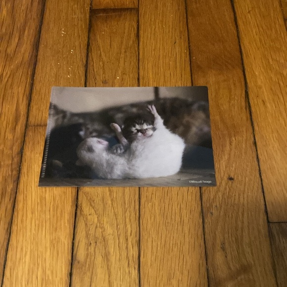 5 Small Plastic Card Folders - Picture 8 of 11